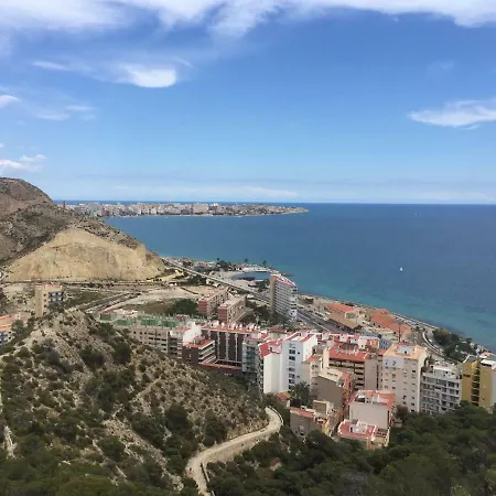 Ginger Alicante